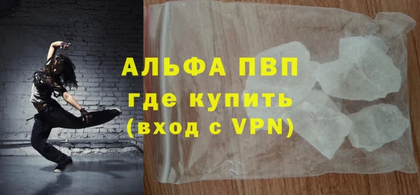 индика Гусиноозёрск