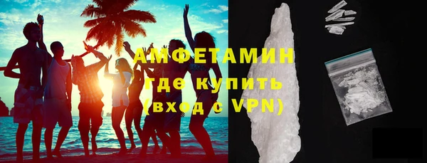 индика Гусиноозёрск