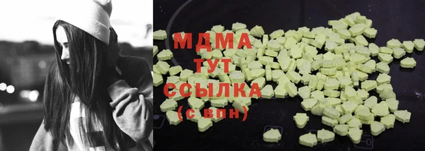 индика Гусиноозёрск