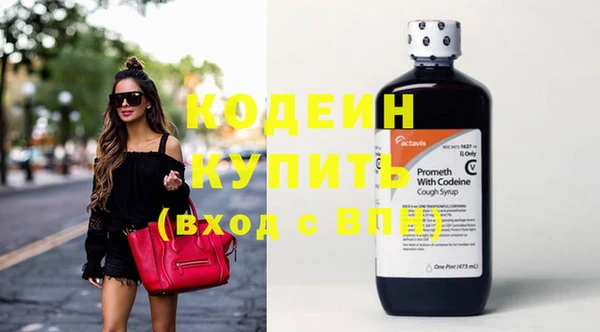 индика Гусиноозёрск