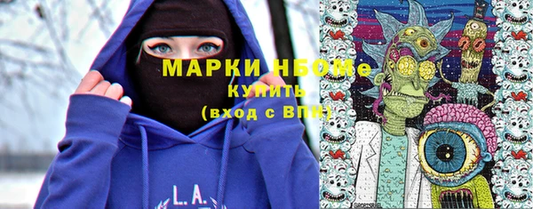 индика Гусиноозёрск