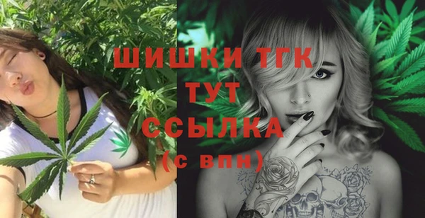 индика Гусиноозёрск