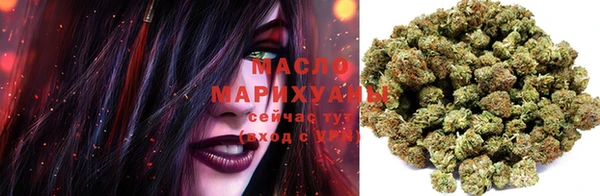 индика Гусиноозёрск