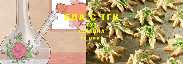 индика Гусиноозёрск