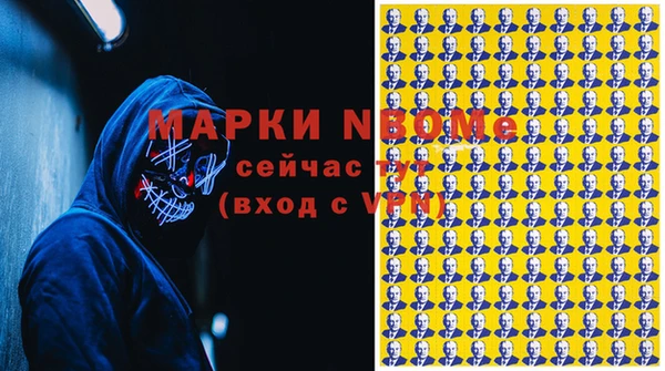 индика Гусиноозёрск