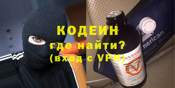 индика Гусиноозёрск
