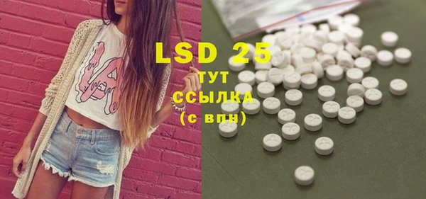 индика Гусиноозёрск