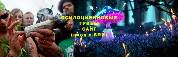 индика Гусиноозёрск