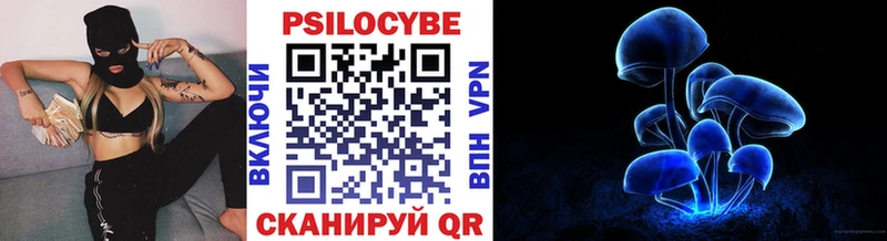 Купить  Карачаевск  Галлюциногенные грибы MAGIC MUSHROOMS 