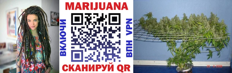 Конопля VHQ  Купить где  Карачаевск 